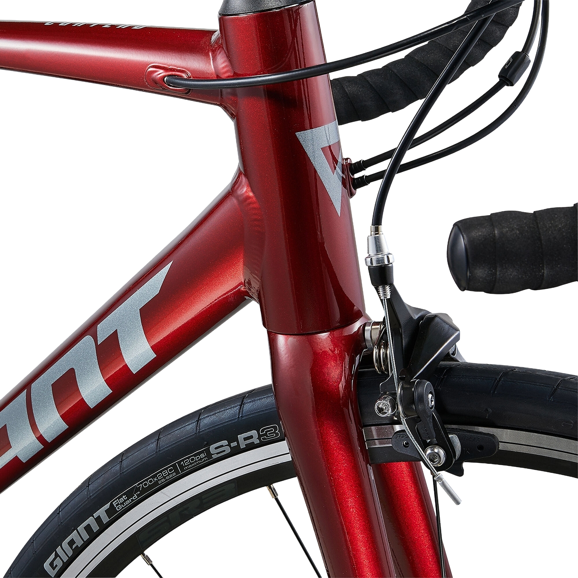 Giant Contend 1 Road Bike | Active Fitness Store