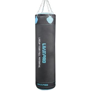Everlast Hydro Strike Water Bag, 100 lb Black | Active Fitness Store