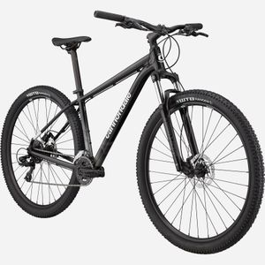 Cannondale 29-inch Trail 7 Mountain Bike | Black-Large | Active